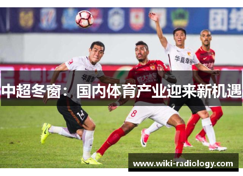中超冬窗：国内体育产业迎来新机遇