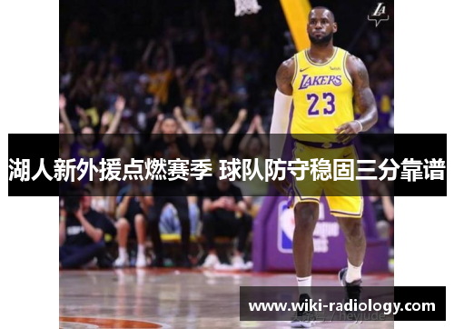 湖人新外援点燃赛季 球队防守稳固三分靠谱